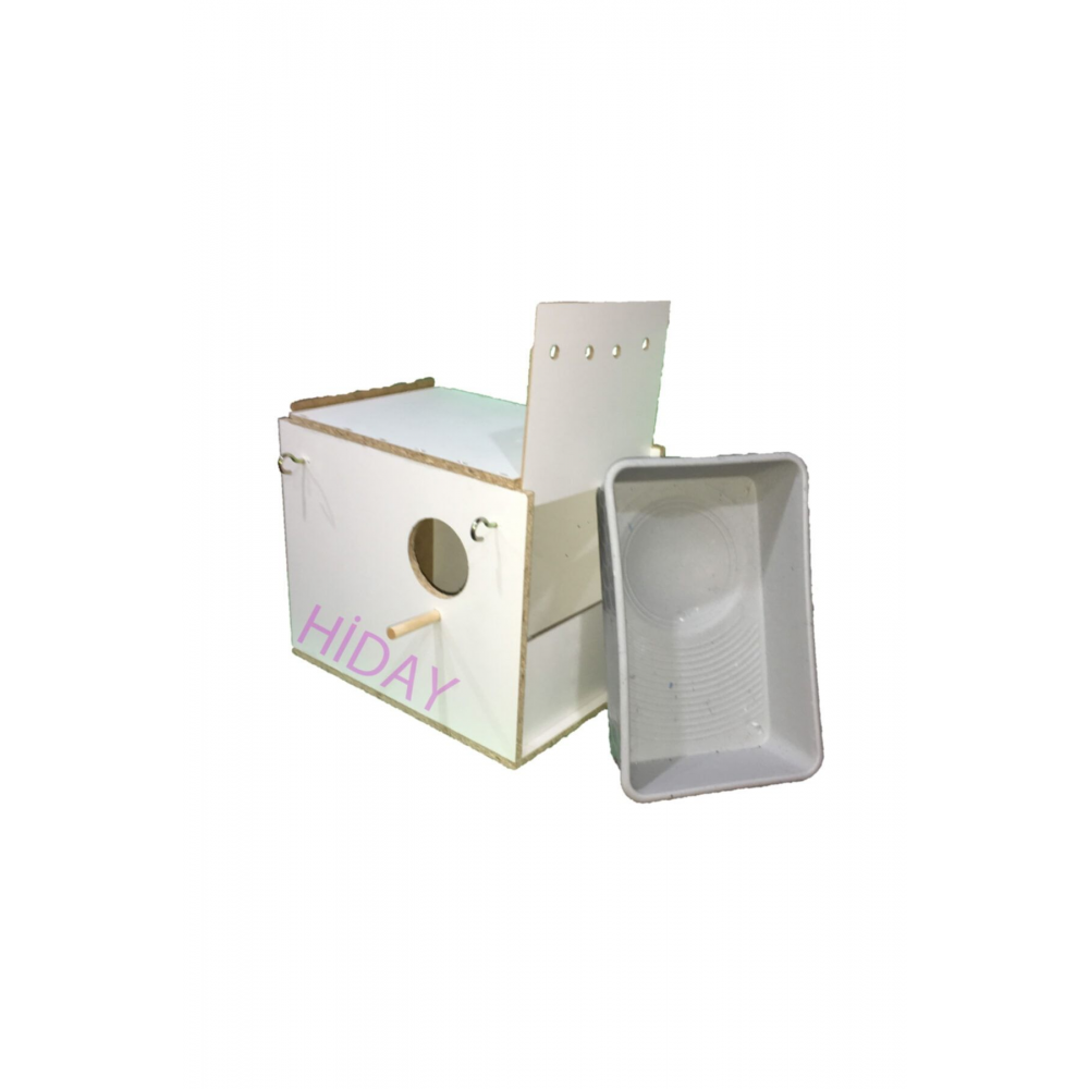 Sultan Papağanı Ve Jumbo Muhabbet Folluklu Yuvalık