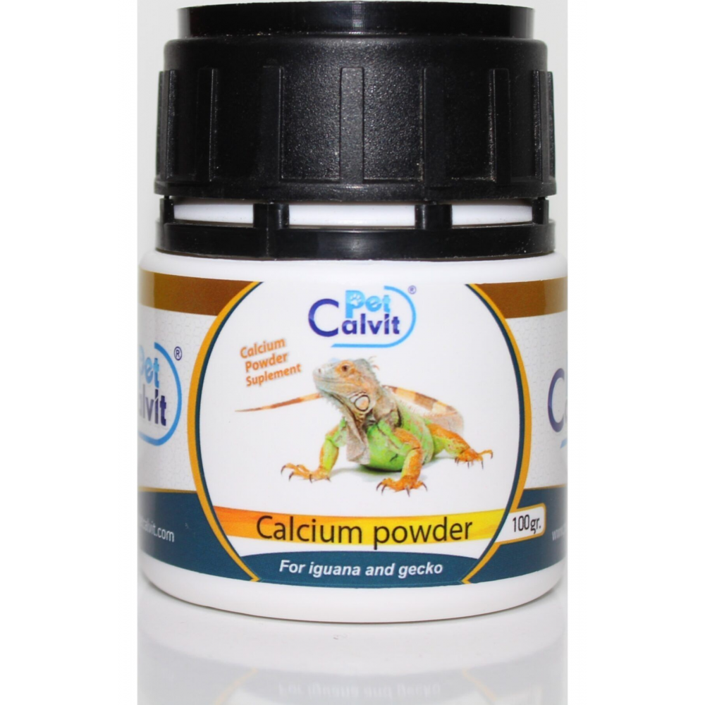 Iguana D3'süz Kalsiyum Tozu 100.gr 2025 Skt'li
