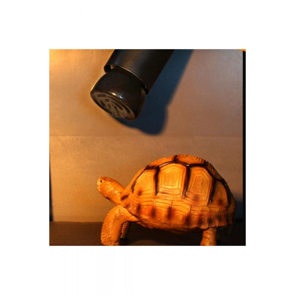 Marka: Evcil Hayvan Kümes Isıtıcı Seramik Ampul 100w Seramik Infrared Ampül E27 Duy Tipi Kategori: