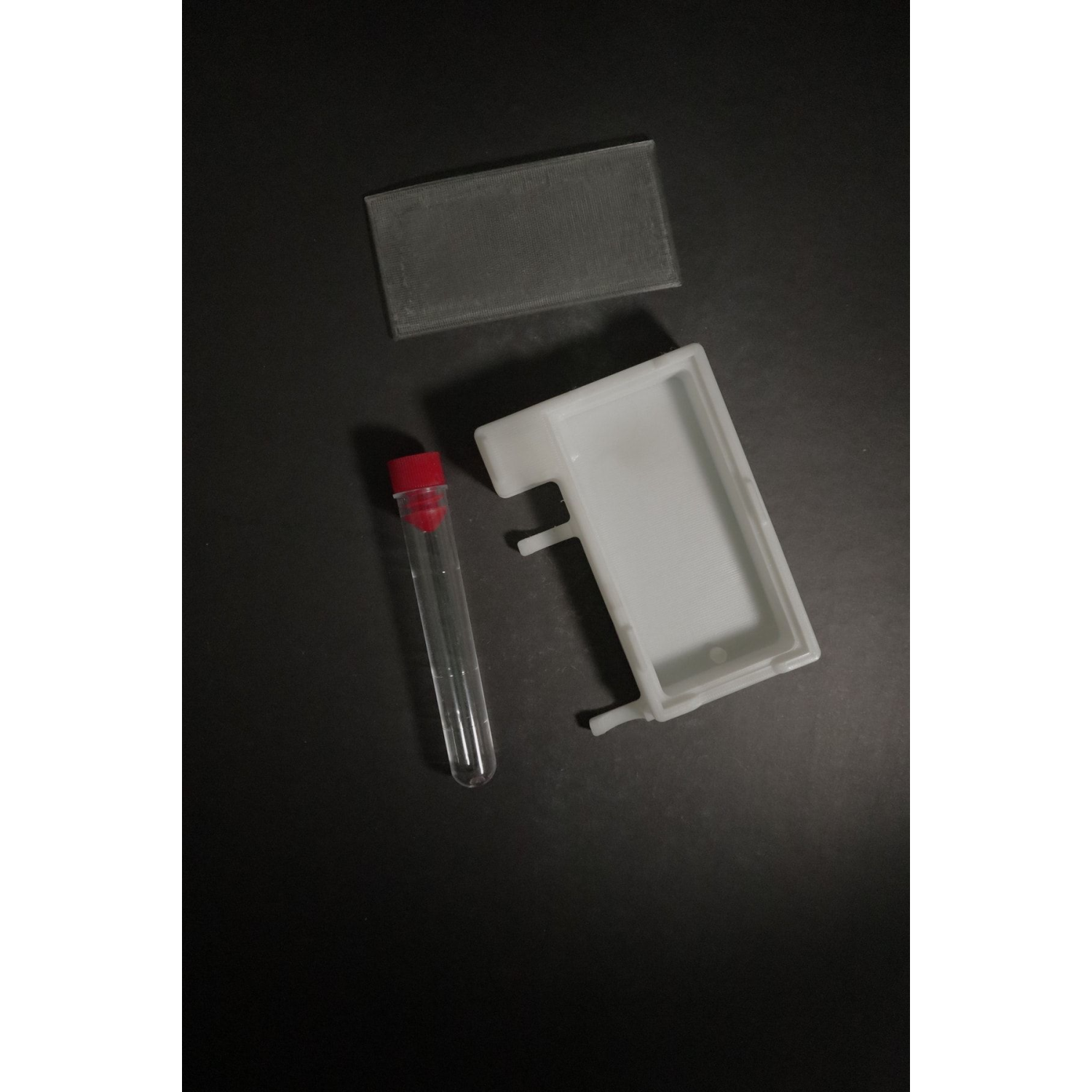 Karınca Formikaryum